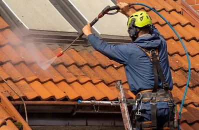 Démoussage et hydrofuge de toiture à Louvigné